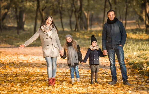 Passeggiata parco autunnale — Foto Stock