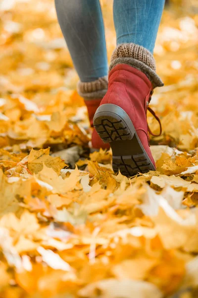 Spaziergang Herbstpark — Stockfoto