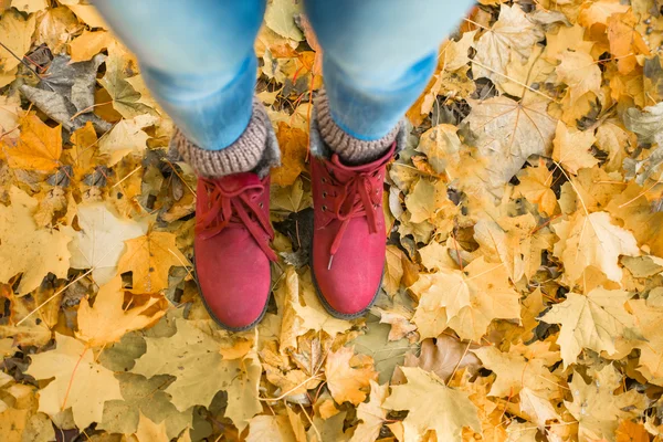 Promenad höst park — Stockfoto