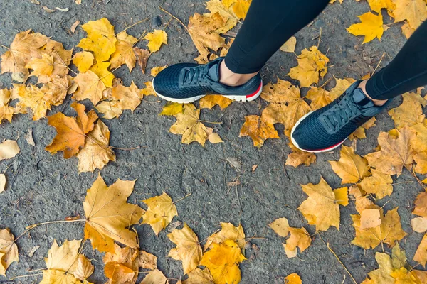Corriendo en el parque de otoño — Foto de Stock