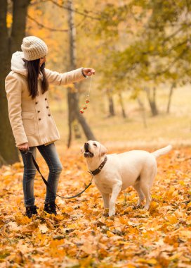 Sonbahar Parkı 'nda yürüyüş