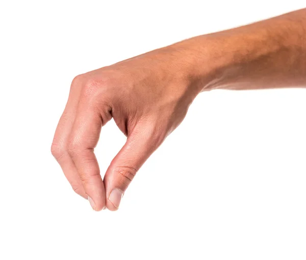 Hands close-up — Stock Photo, Image