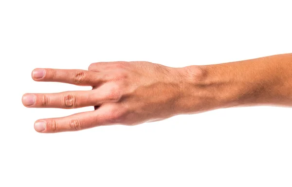 Hands close-up — Stock Photo, Image