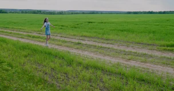幸せな女の子ランに沿って田舎道でフィールド手を振って彼女の腕. — ストック動画