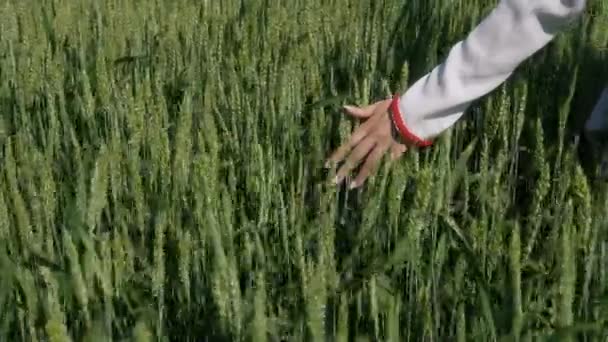 Una mano de mujer toca las orejas verdes. Protección del concepto de medio ambiente. — Vídeo de stock