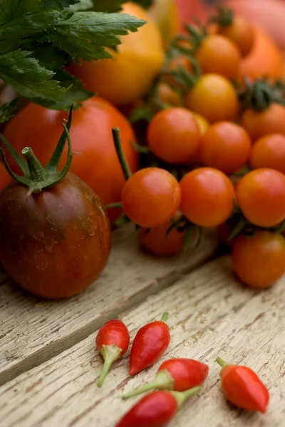 hasat ripe domates ve biber biber.