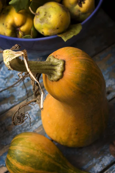 Bahçeden geç sonbaharda hasat.