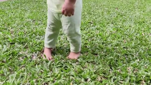 Baby Learns Take First Steps Green Grass — 图库视频影像
