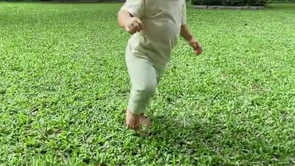 Baby Playing Catch Baby Sisters Running Grass — 图库视频影像