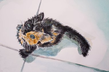 A cute kitten sits on the floor and looks. Cat with double muzzle color