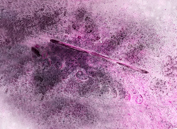 紫色和粉色抽象水彩背景 — 图库照片