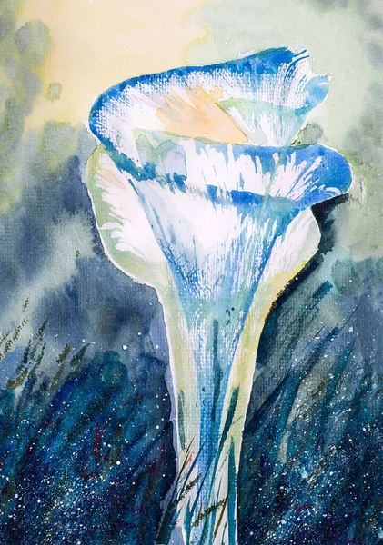 Illustration Fleur Calla Bleue Aquarelle Abstraite — Photo