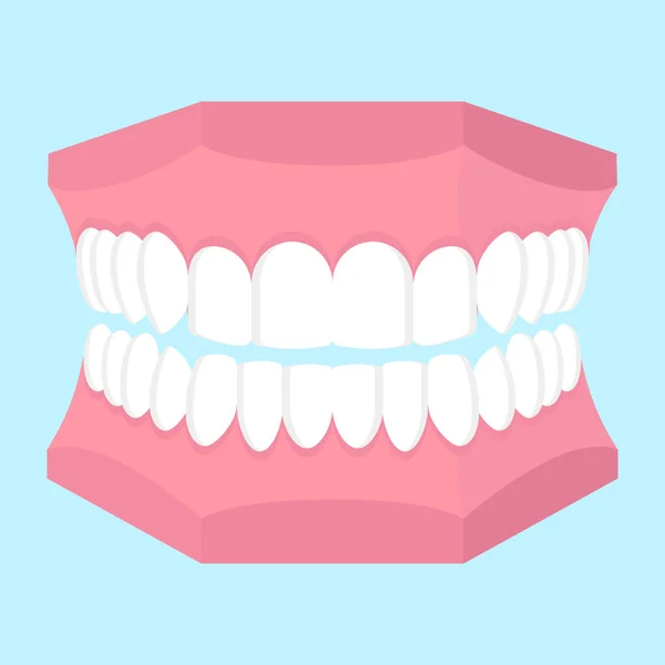 Ilustración Vectorial Dibujos Animados Del Modelo Mandíbula Dental Aislado Sobre — Vector de stock