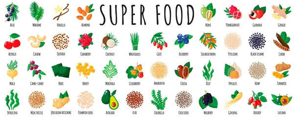 Acai, quinoa, goji, chia, maca, spirulina, dut, kakao, susam, zerdeçal gibi büyük sağlıklı yiyecek seti. Doğal vitamin antioksidan detoks yiyecek koleksiyonu. Vektör karikatürü izole edildi.
