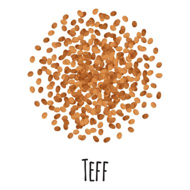 Çiftçi pazarı tasarımı, etiket ve paketleme için Teff. Doğal enerji proteini organik süper gıdalar. Vektör karikatürü izole edildi.