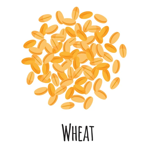 テンプレート農家市場のデザイン ラベルと梱包のための小麦 自然エネルギータンパク質有機スーパーフード ベクトル漫画分離イラスト — ストックベクタ