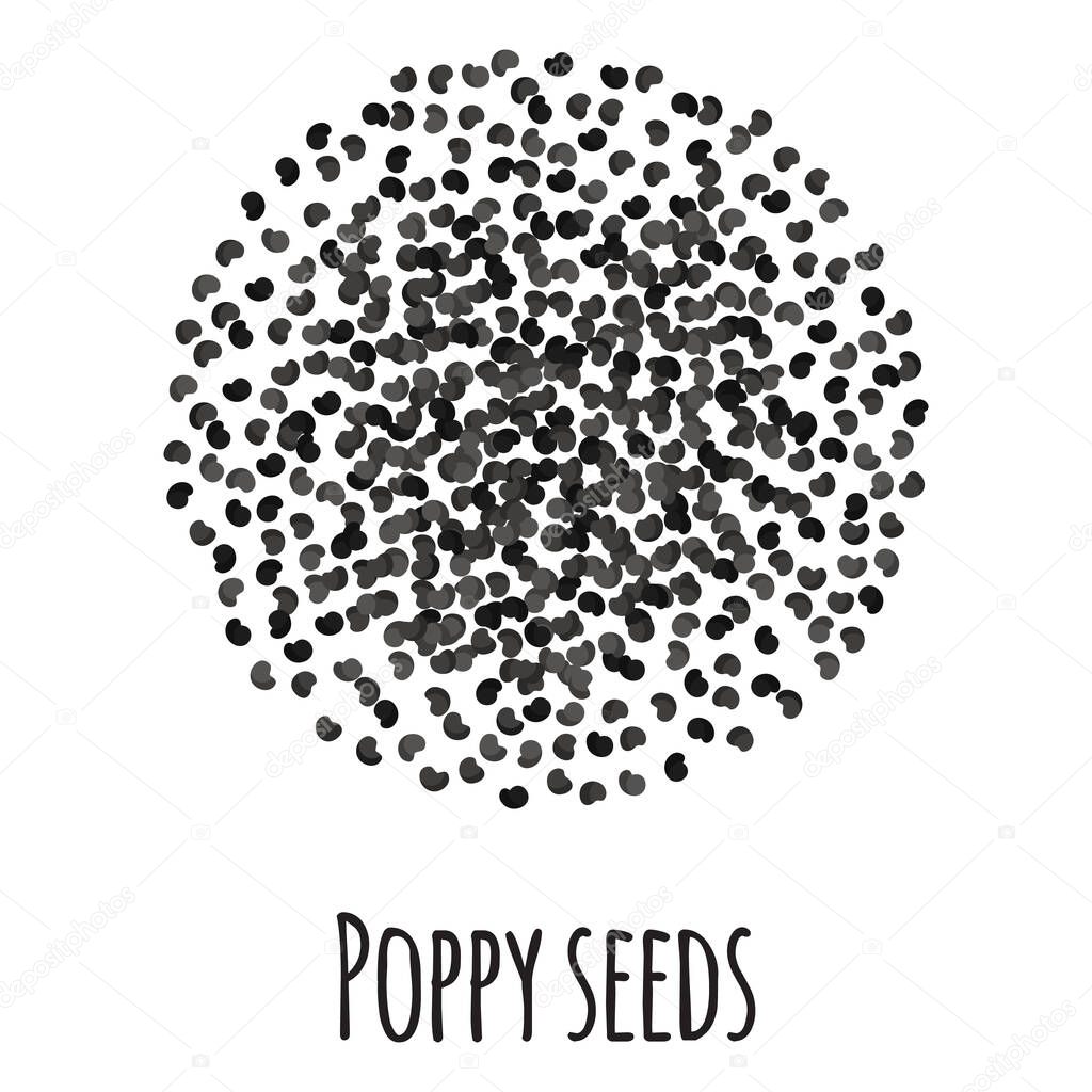 Poppy seeds for template farmer market design, label and packing. Natural energy protein organic super food. Vector cartoon isolated illustration.