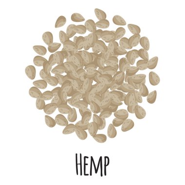 Market tasarımı, etiket ve paketleme için kenevir otu. Doğal enerji proteini organik süper gıdalar. Vektör karikatürü izole edildi.