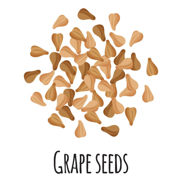 Grape seeds for template farmer market design, label and packing. Natural energy protein organic super food. Vector cartoon isolated illustration.