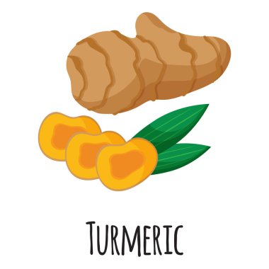 Çiftçi pazarı tasarımı, etiketi ve ambalajı için zerdeçal süper gıda kökü. Doğal enerji proteini organik gıda. Vektör karikatürü izole edildi.