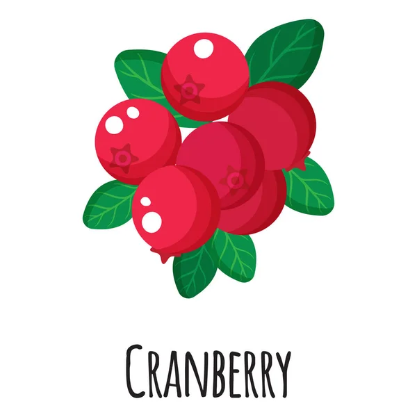 Buah Super Makanan Cranberry Untuk Templat Desain Pasar Petani Label - Stok Vektor