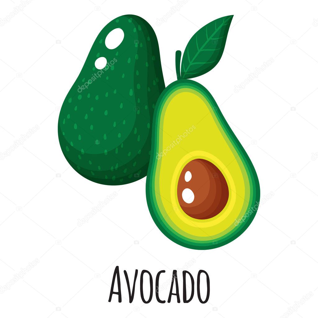Avocado superfood fruit for template farmer market design, label and packing. Natural energy protein organic food. Vector cartoon isolated illustration.