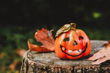 Sarı yapraklı bir kütükte balkabağı şeklinde seramik şamdan.