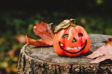 Sarı yapraklı bir kütükte balkabağı şeklinde seramik şamdan.