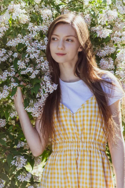 A brunette girl in a yellow checkered sundress stands near a flowering bush of a white weigela on a sunny day