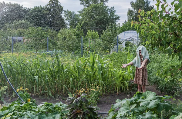 Little Girl Towel Her Head Stands Splashes Water Sprinkler Vegetable — 스톡 사진