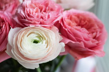 Pembe Austin gülleri, beyaz ranunculus buketi, yumuşak romantik çiçek arkaplanı.