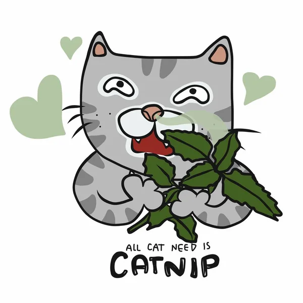 Gato Oliendo Catnip Todo Gato Necesidad Catnip Dibujos Animados Vector — Archivo Imágenes Vectoriales