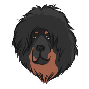 Tibetli Mastiff köpek yüz karikatür vektör çizimi