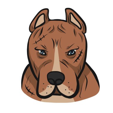 Amerikan pitbull suratlı karikatür vektör çizimi