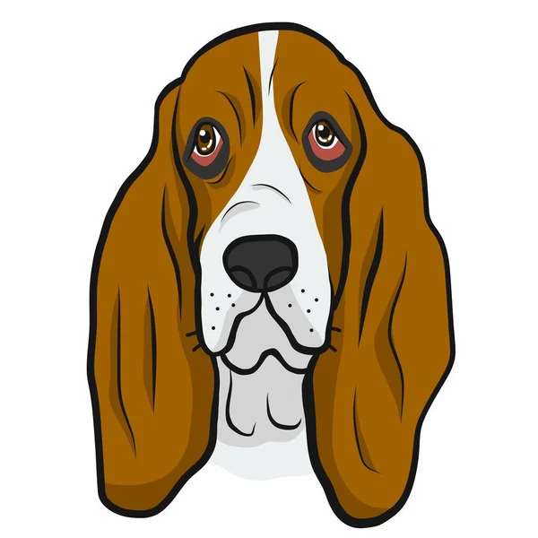 Vector Illustration Dog Basset Hound — Stock Vector