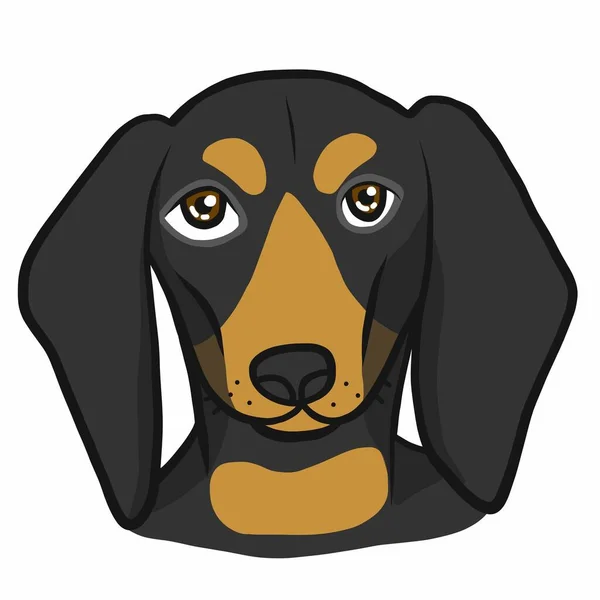 Ilustração Cão Bonito Duchshund — Vetor de Stock