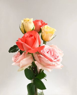 Beyaz arka planda vazoda güzel güller