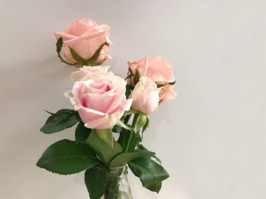 Beyaz arka planda vazoda güzel güller