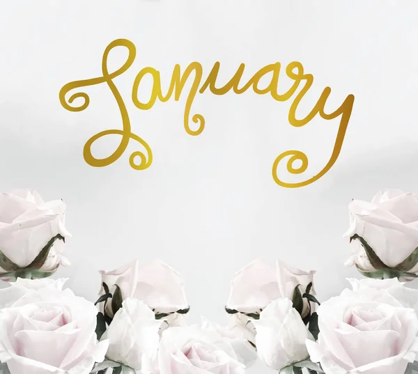 1月手書き文字白バラのフレームの背景に金の色 — ストック写真