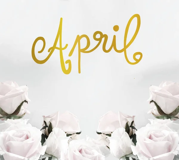 April Handwriting Lettering Gold Color White Roses Frame Background — Stock Photo, Image