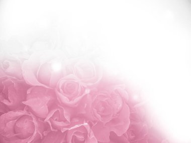 Beyaz eğimli ve parıltılı pembe güller 