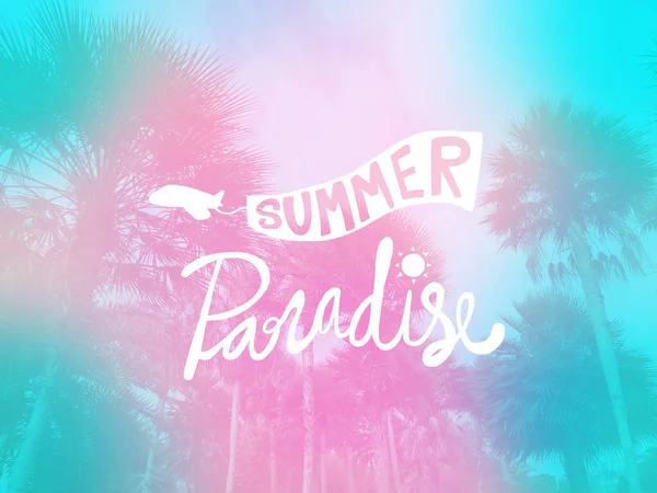 Airplane Sun Summer Paradise Lettering Background Colored Palms Shot — 图库照片