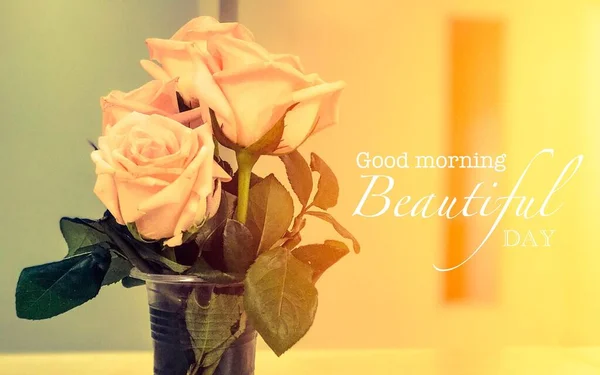 Small Bouquet Pink Roses Plastic Cup Lettering Good Morning Beautiful — 图库照片