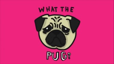 Hüzünlü köpek, üzerinde pug harfleri olan