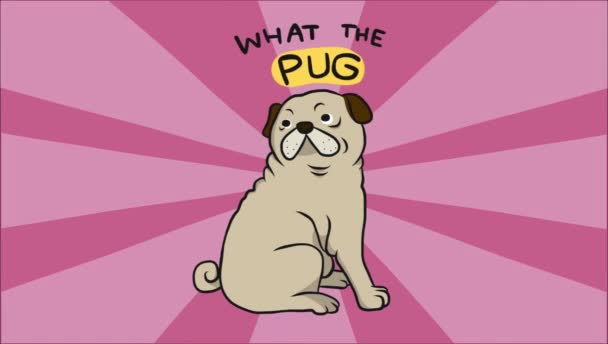 Desenho Animado Cão Fundo Rosa Animado Com Que Pug Lettering — Vídeo de Stock