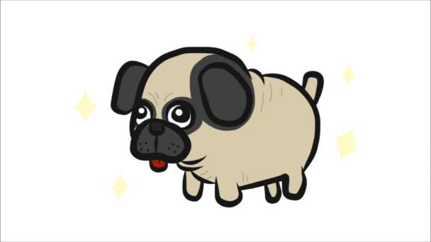 Pug Desenhos Animados Com Brilhos Animados Fundo Branco — Vídeo de Stock