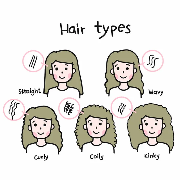 Saç Tipleri Çeşitli Saçlı Kadın Başları — Stok Vektör