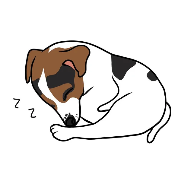 Jack Russell Welpe Hund Schlafen Cartoon Vektor Illustration — Stockvektor
