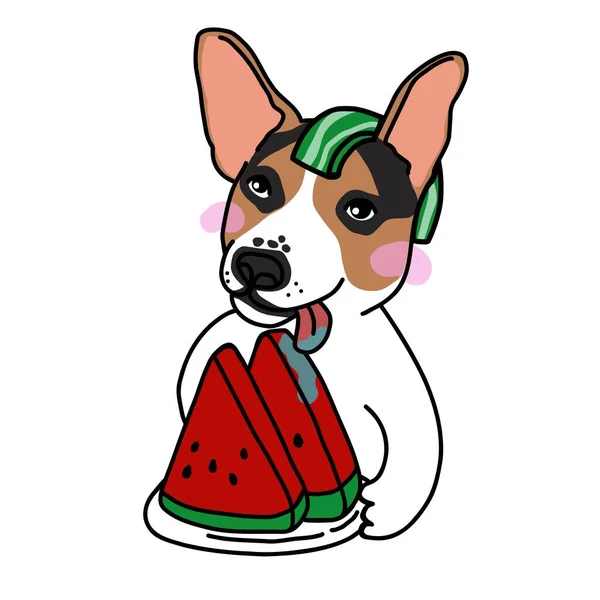 Jack Russell Hund Vill Äta Vattenmelon Tecknad Vektor Illustration — Stock vektor