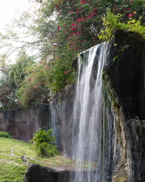 Waterfall scenery with red flowers, trees and foliage displaying the beauty off mother nature in its peaceful moments. Waterfall Stock Photo. Scenery Stock Photo.